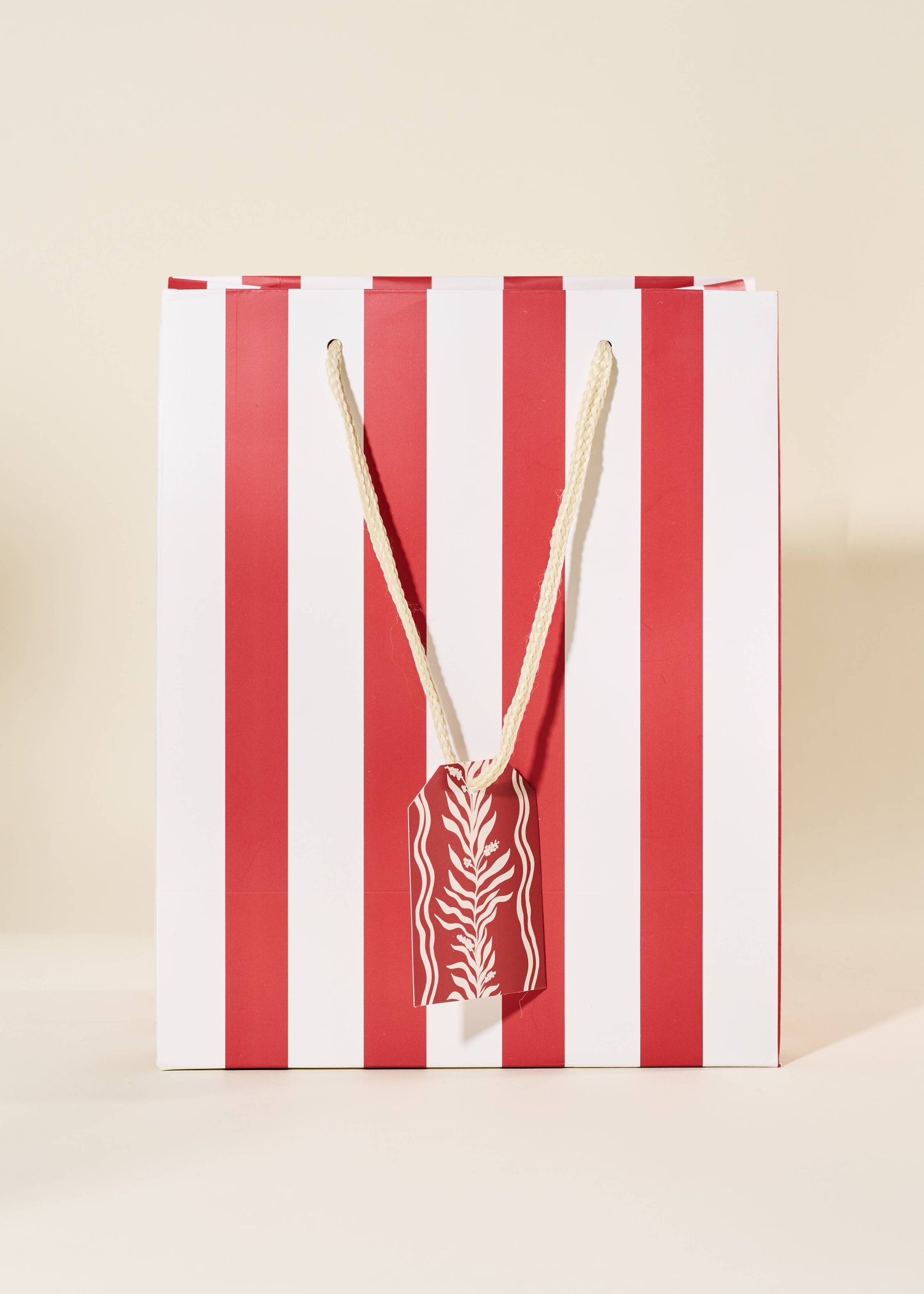 Red Stripe Medium Paper Gift Bag