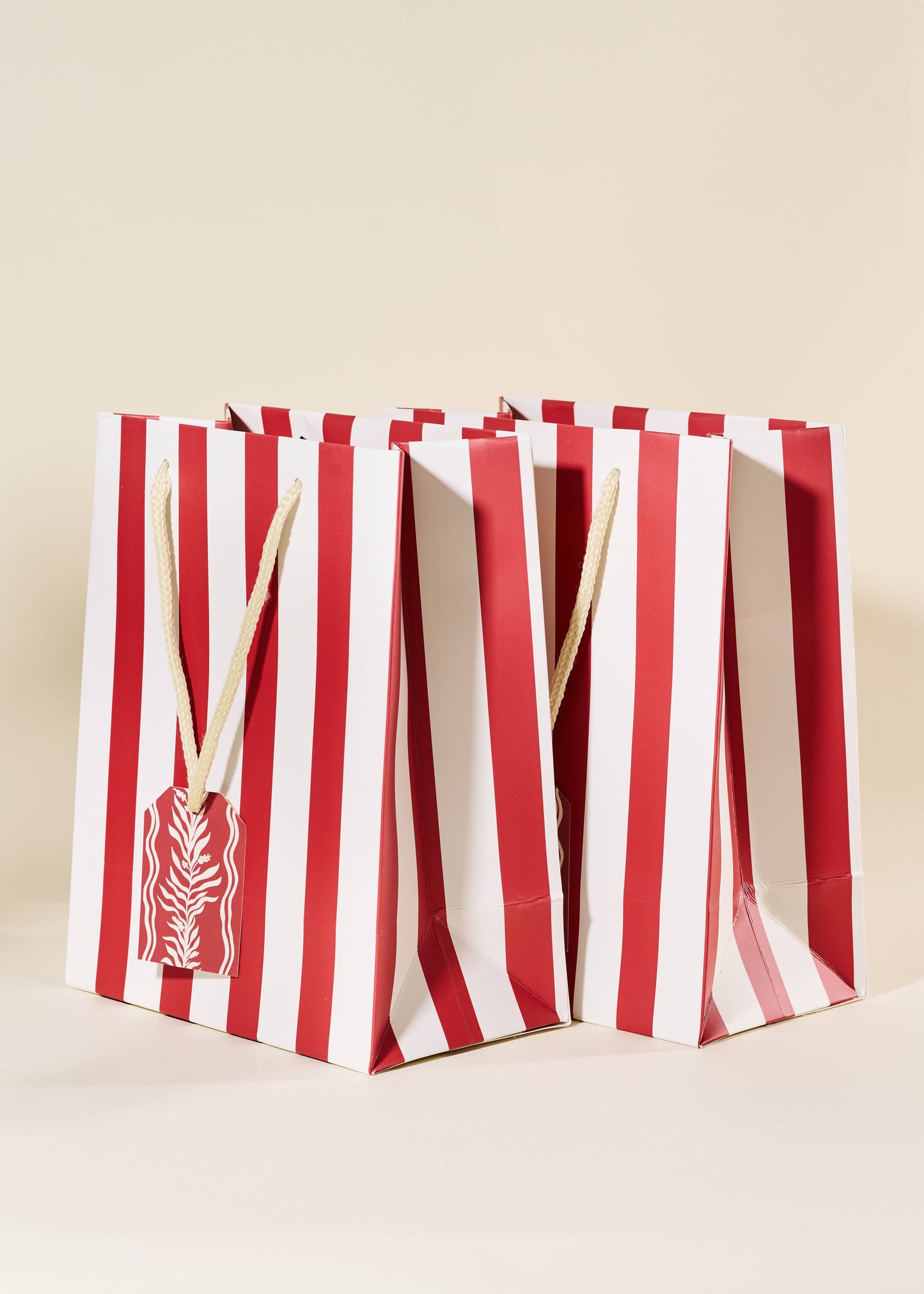 Red Stripe Medium Paper Gift Bag