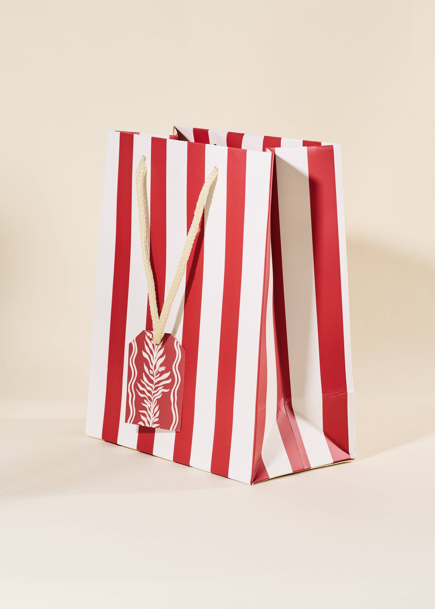 Red Stripe Medium Paper Gift Bag