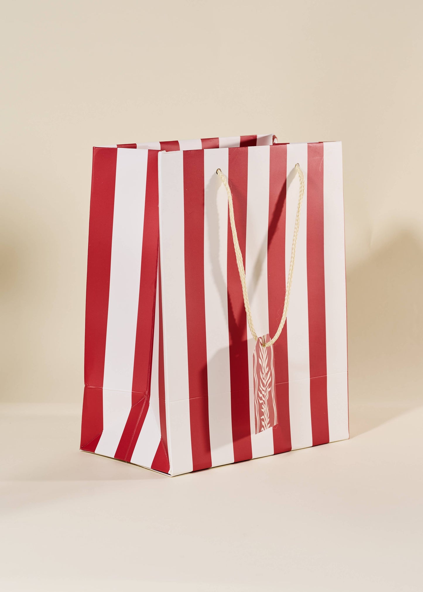 Red Stripe Medium Paper Gift Bag