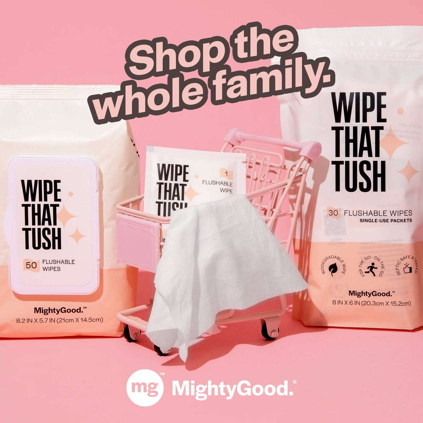 Wipe That Tush Single Use 10 Count (Pack of 12)