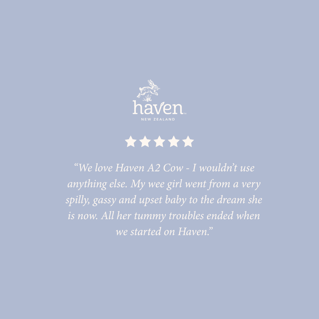 Haven A2 Cow Toddler Formula | New Zealand non GMO milk