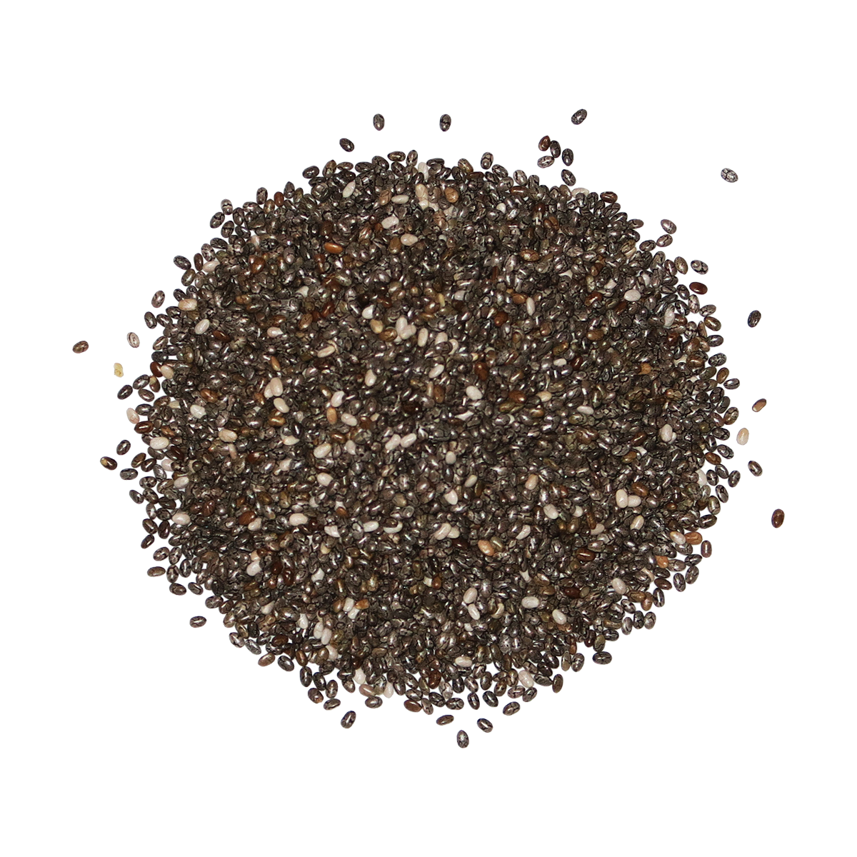 Edison Grainery Organic Black Chia Seeds 16 oz