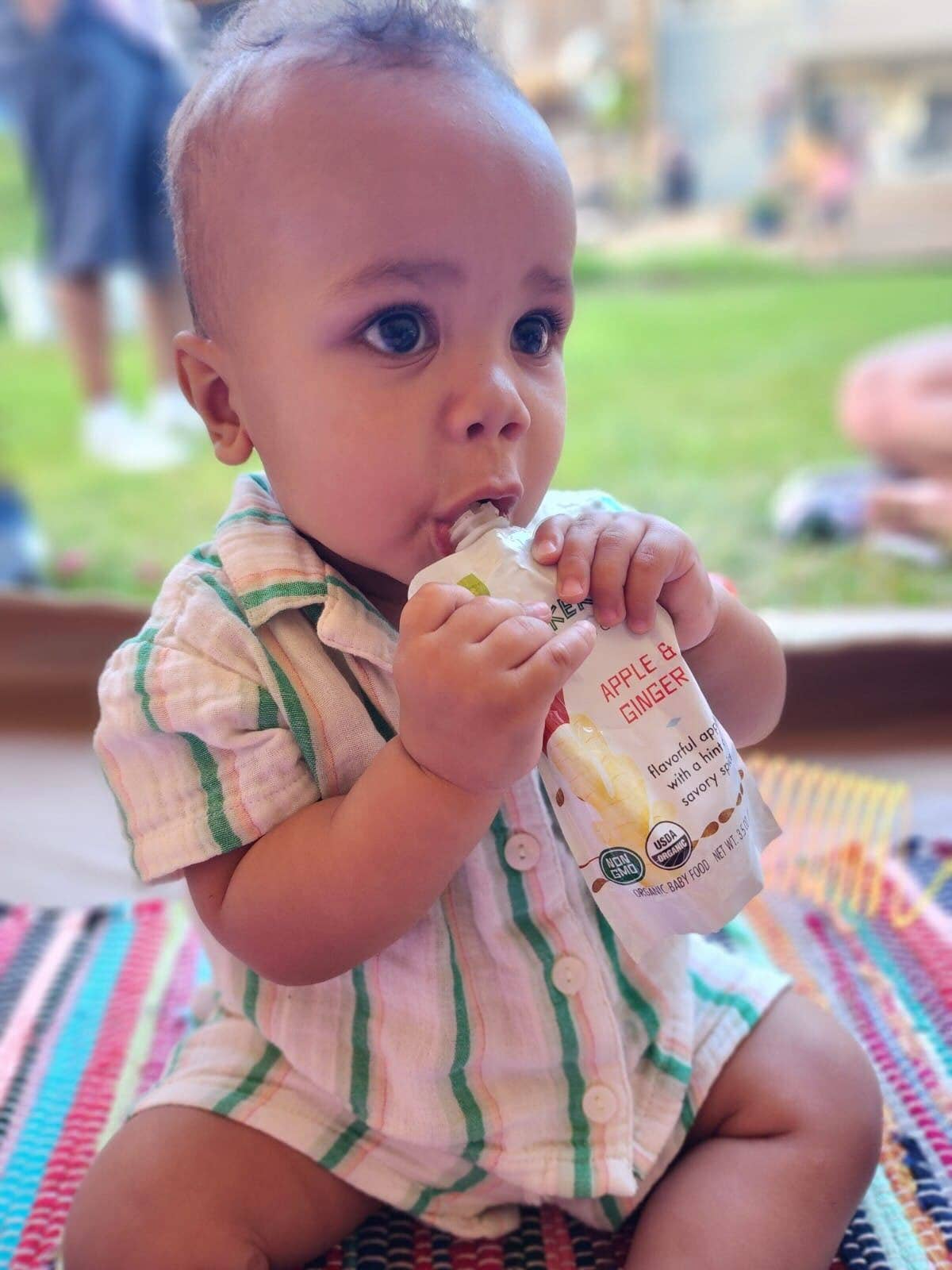Apple & Ginger Squeeze Pouch, 100% Organic Vegetarian Baby Food Purée