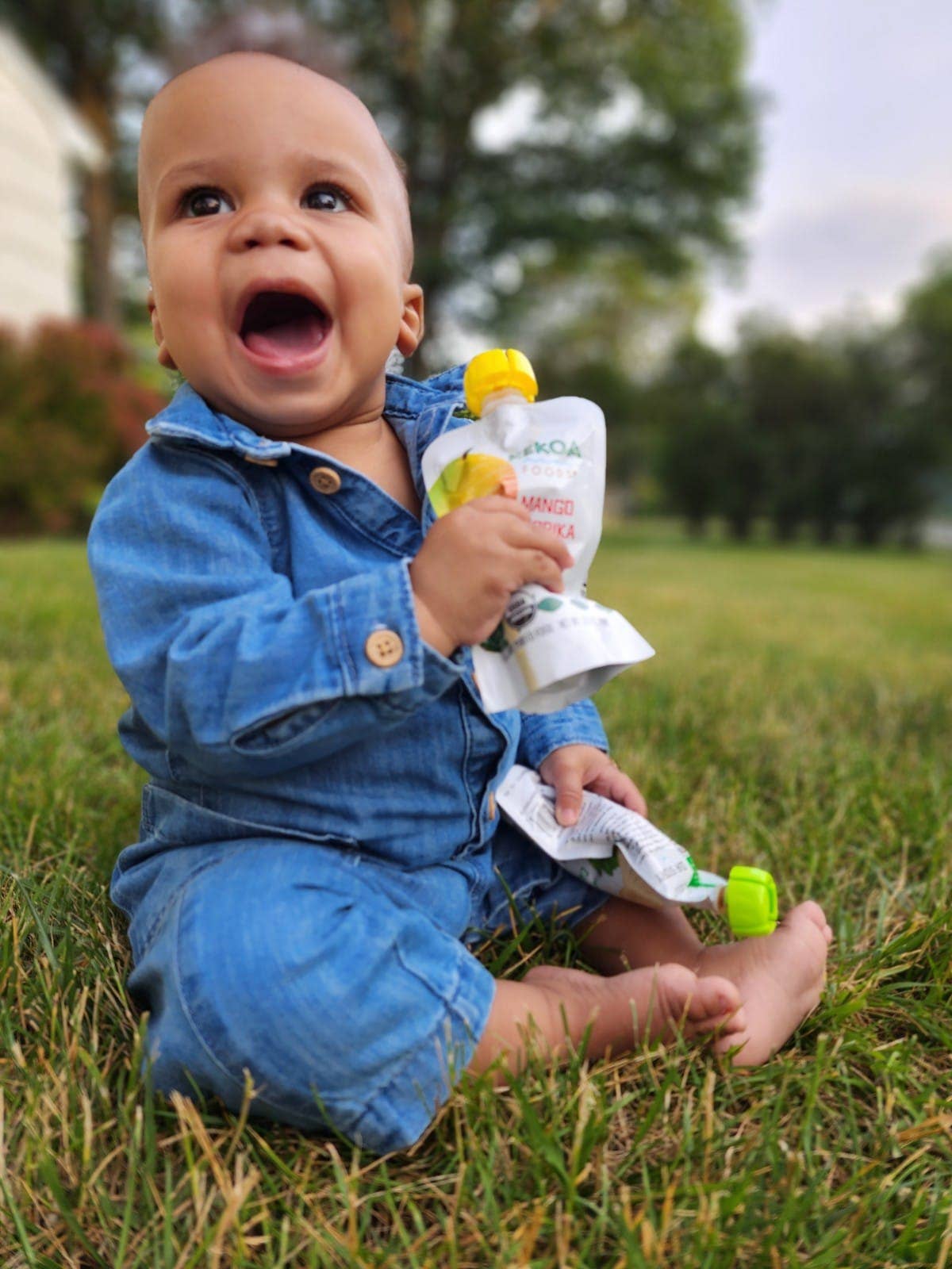 Mango Paprika Squeeze Pouch, 100% Organic Vegetarian Baby Food Purée