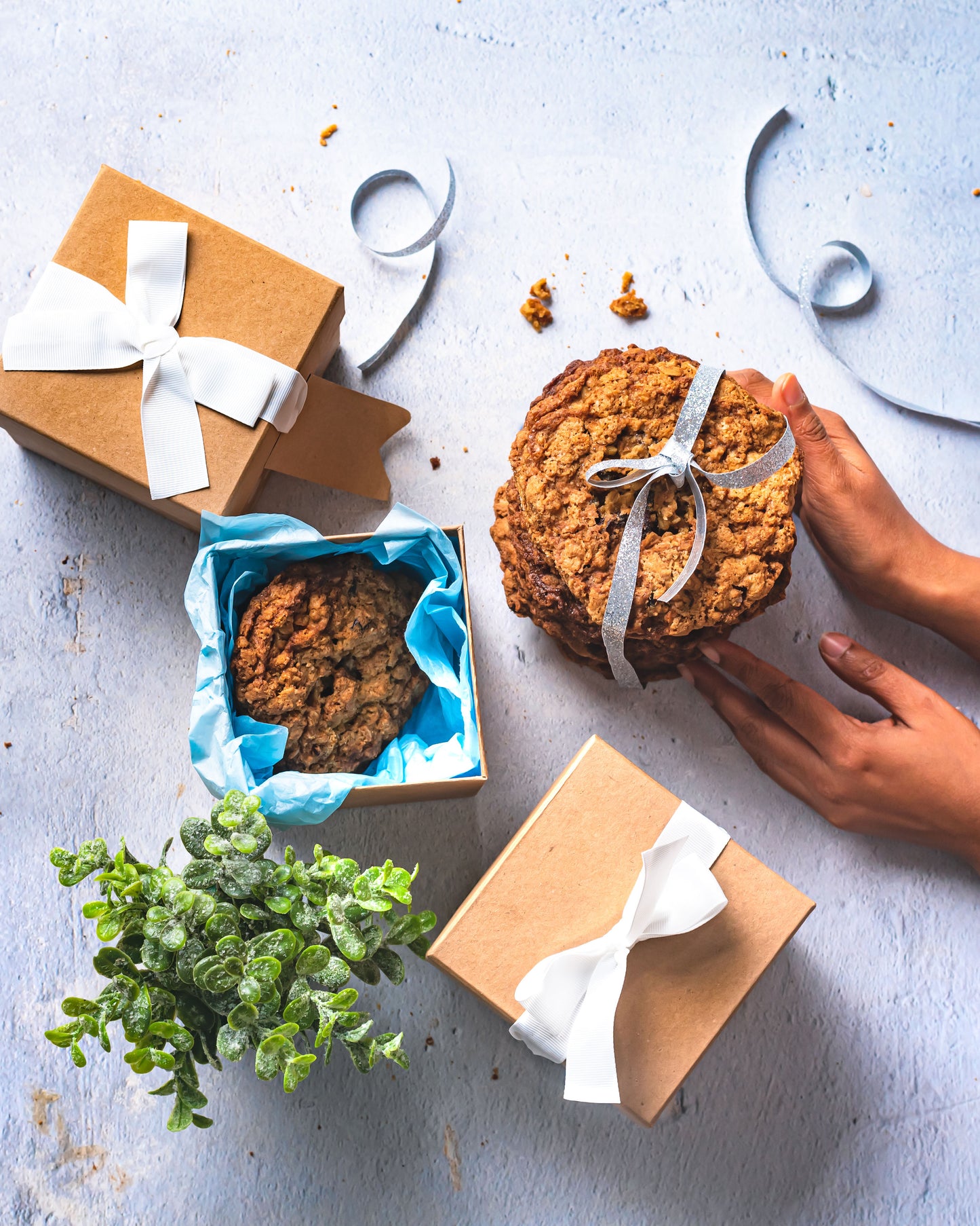 Oatmeal Craisin Cookie