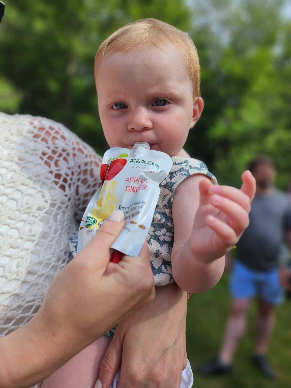 Apple & Ginger Squeeze Pouch, 100% Organic Vegetarian Baby Food Purée