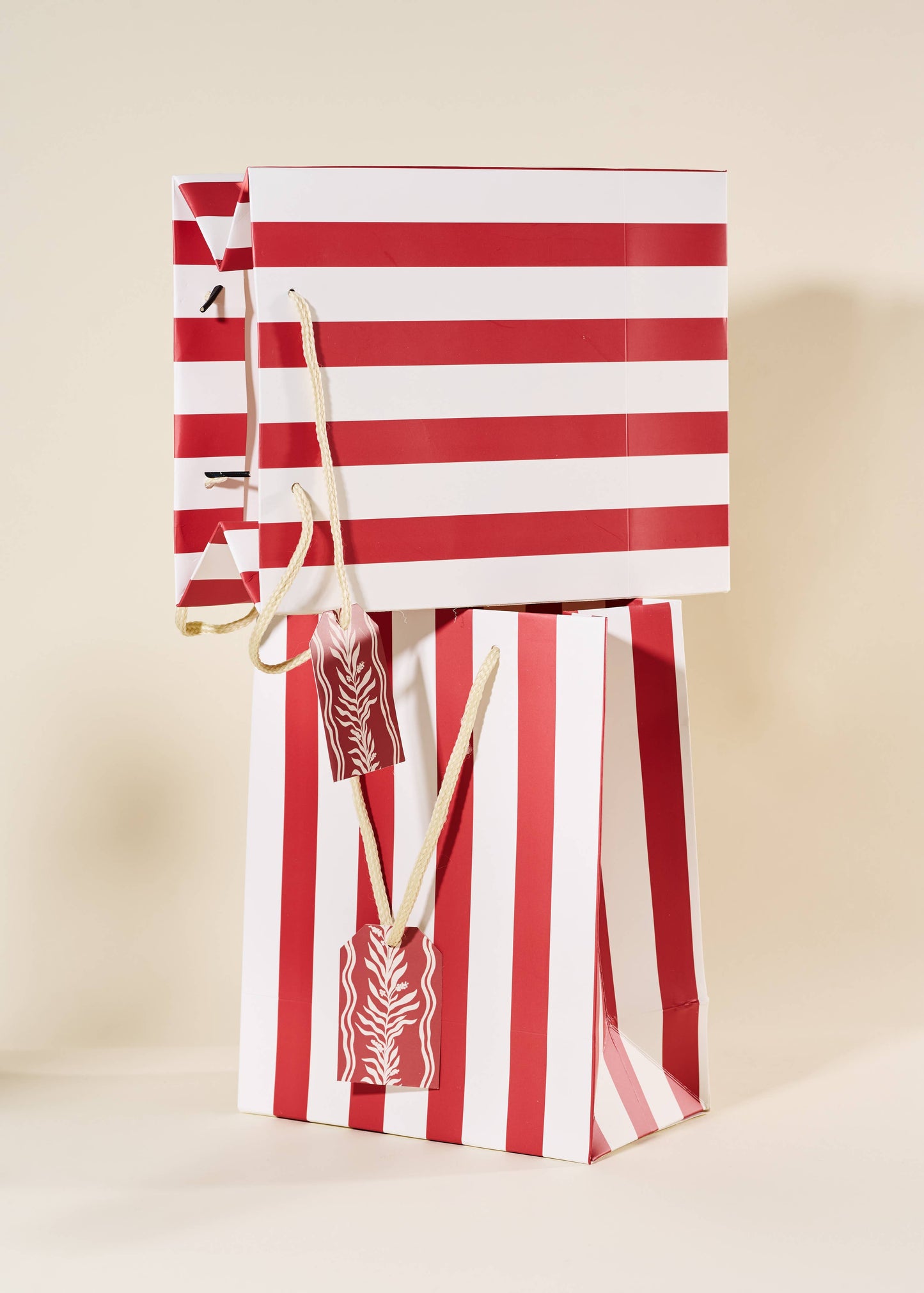 Red Stripe Medium Paper Gift Bag